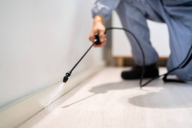 Bed Bug Pre-Treatment Preparation Assessment in Ferry Pass