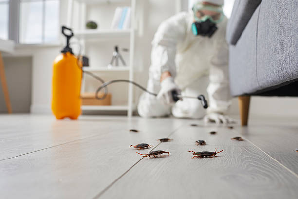 Post-Treatment Bed Bug Interceptor Monitoring in Ferry Pass